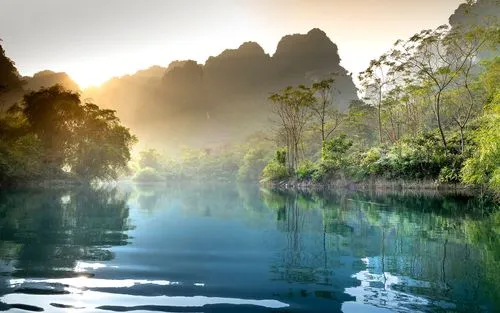 全自动独特